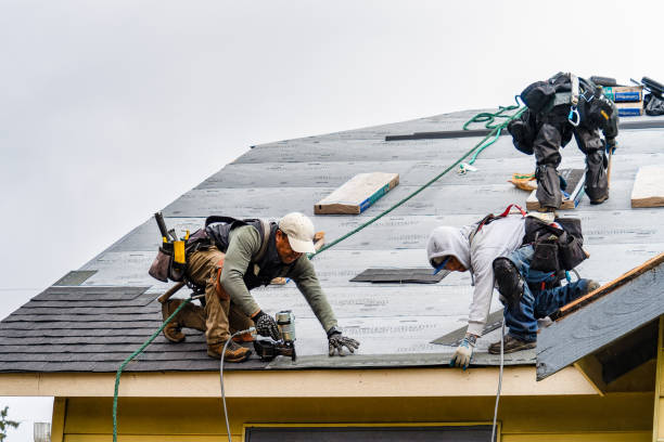 Professional Gutter Installation technician working in Gainesville, TX